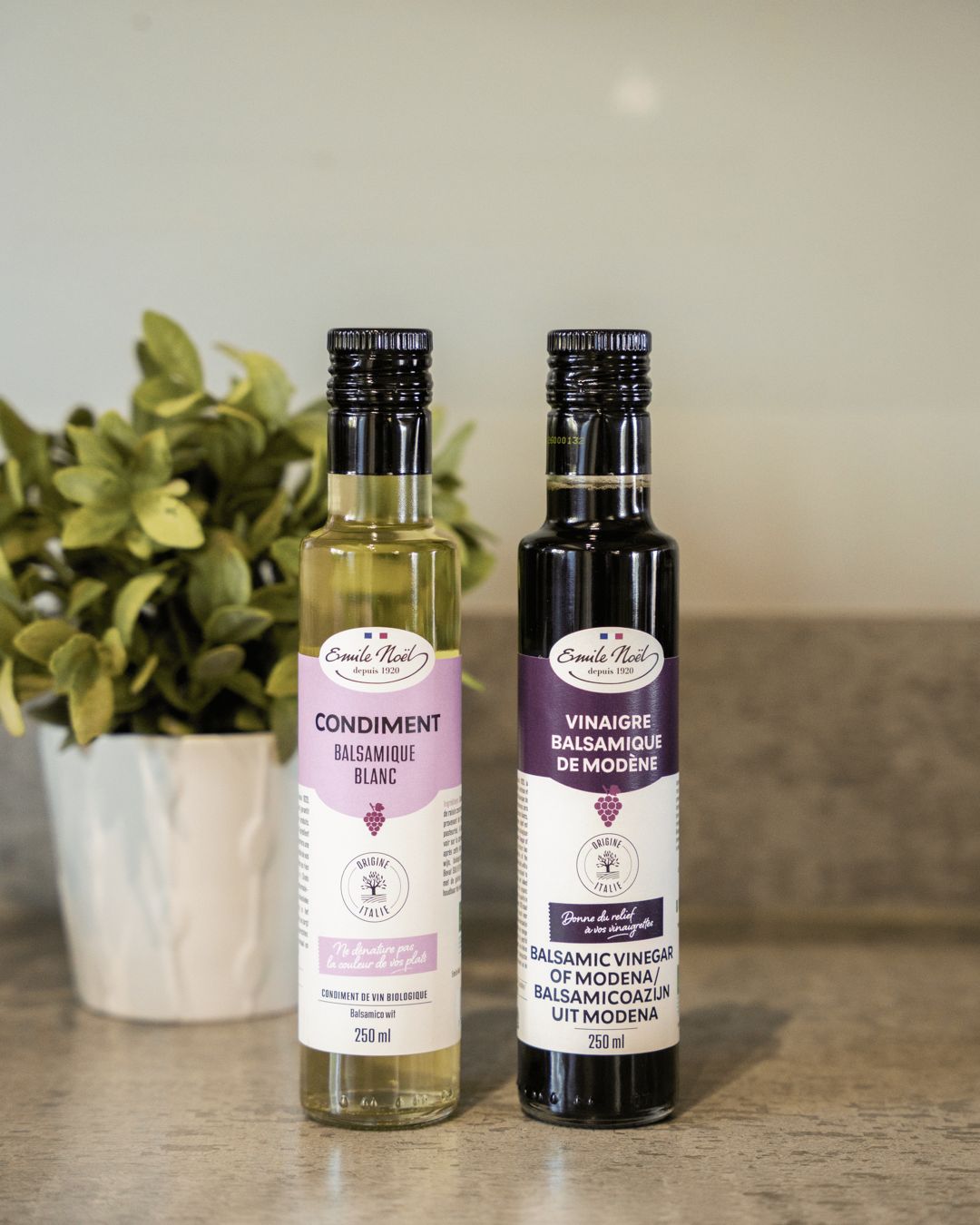 Condiment balsamique blanc et vinaigre balsamique de Modène Émile Noël posés sur un plan de travail